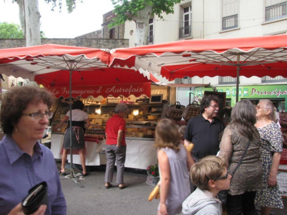 Maison Chene Liege Maureillas Dış mekan fotoğraf